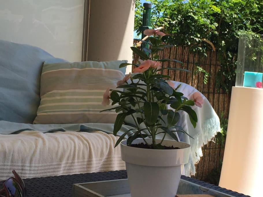 Residence Avec Piscine Face A La Mer, 1Ere Ligne ยันซา ภายนอก รูปภาพ